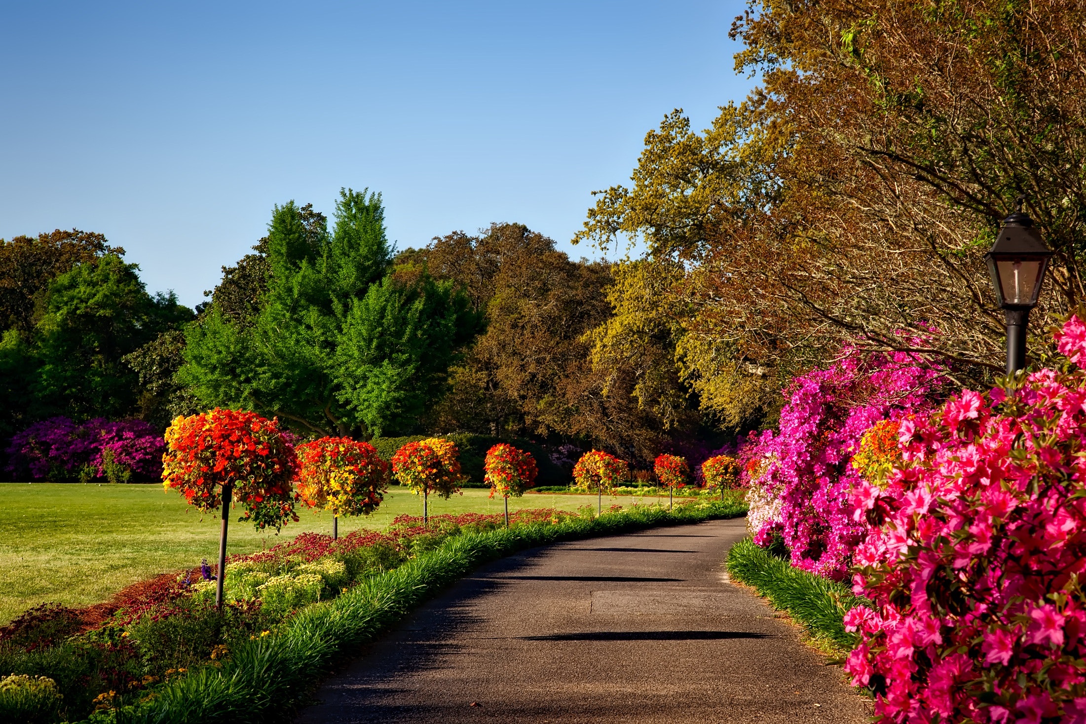 lush park with a walking path and colorful flowers and trees | hudson gardens Lone Tree