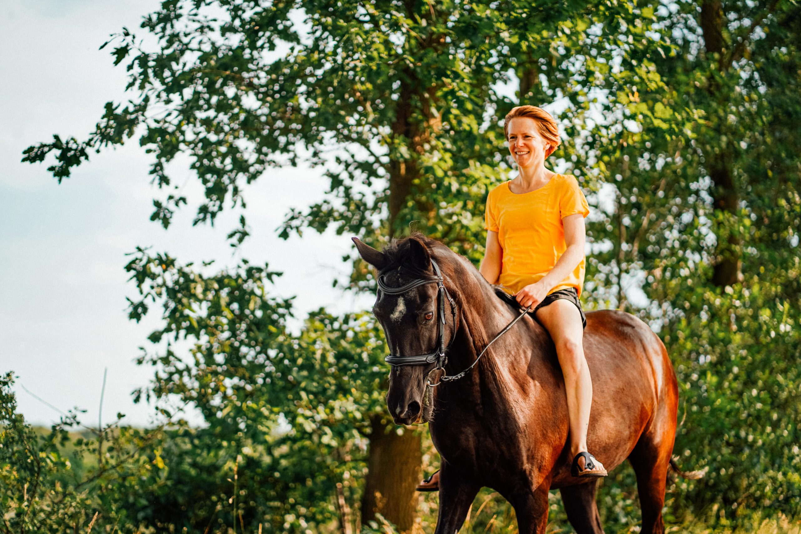 smiling woman riding a horse in front of a tree outdoors | equestrian facilities Lone Tree